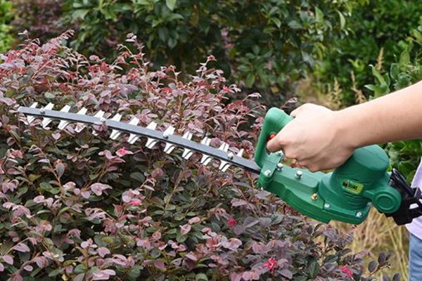 綠籬機(jī)刀片太鈍了？磨一磨會(huì)變得鋒利！ 圖1