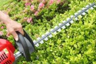 電動(dòng)綠籬機(jī)刀片的價(jià)格貴嗎？